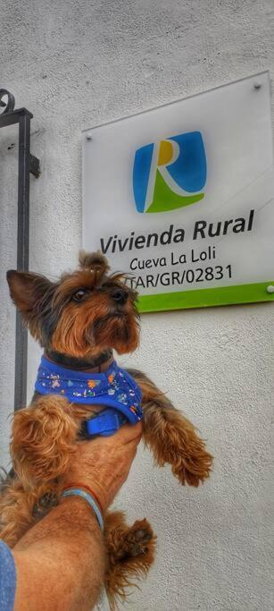 Cueva La Loli Holiday home *
